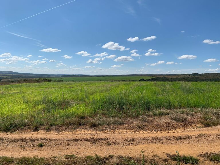 fazenda próximo a brasília df (3)