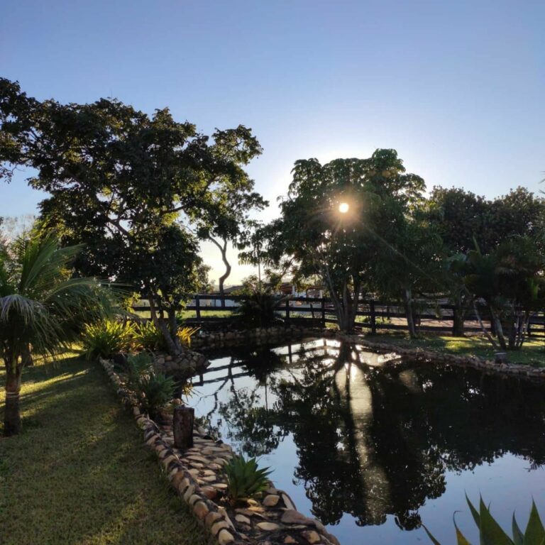 fazenda próximo a brasília df (4)