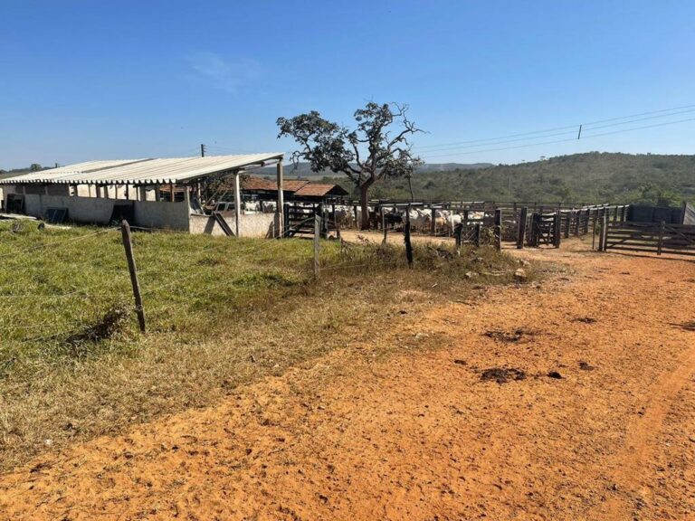 fazenda próximo a brasília df (6)