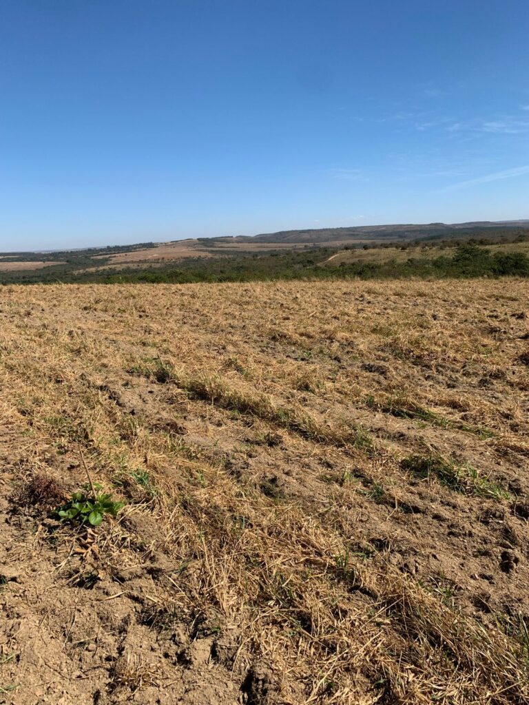 fazenda próximo a brasília df (7)