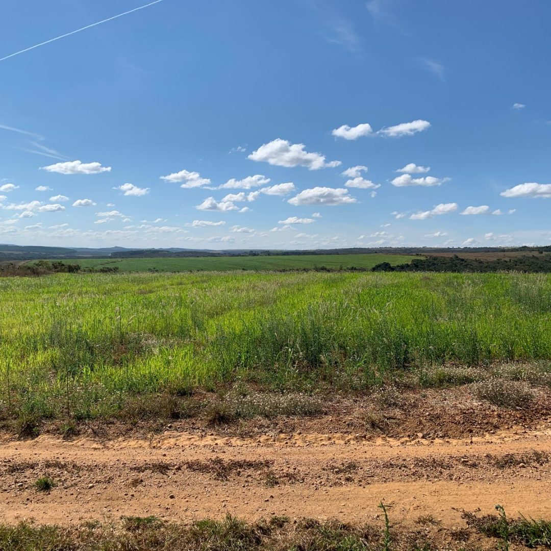 fazenda próximo a brasília df (3)