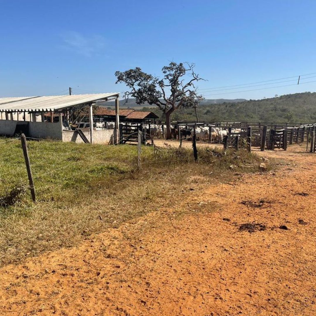 fazenda próximo a brasília df (6)