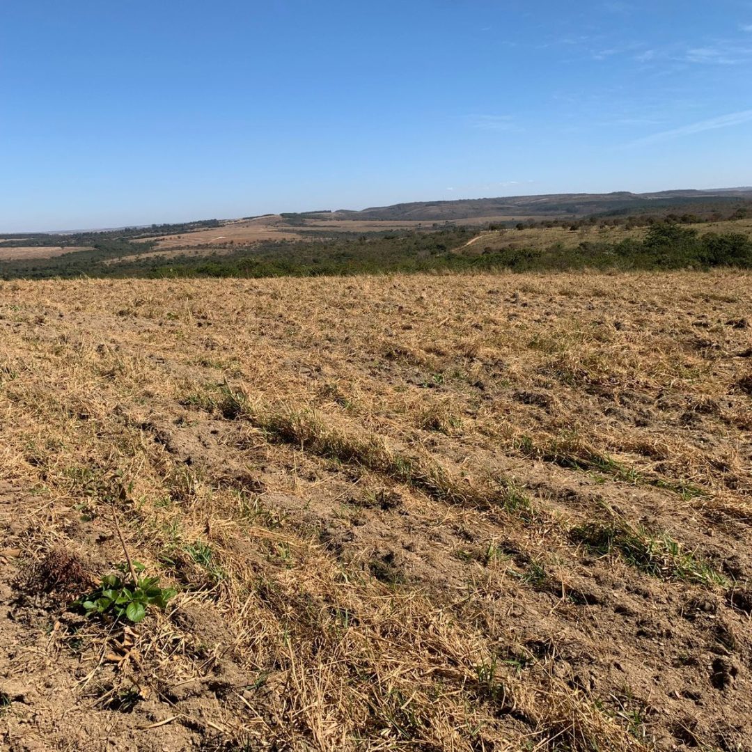 fazenda próximo a brasília df (7)