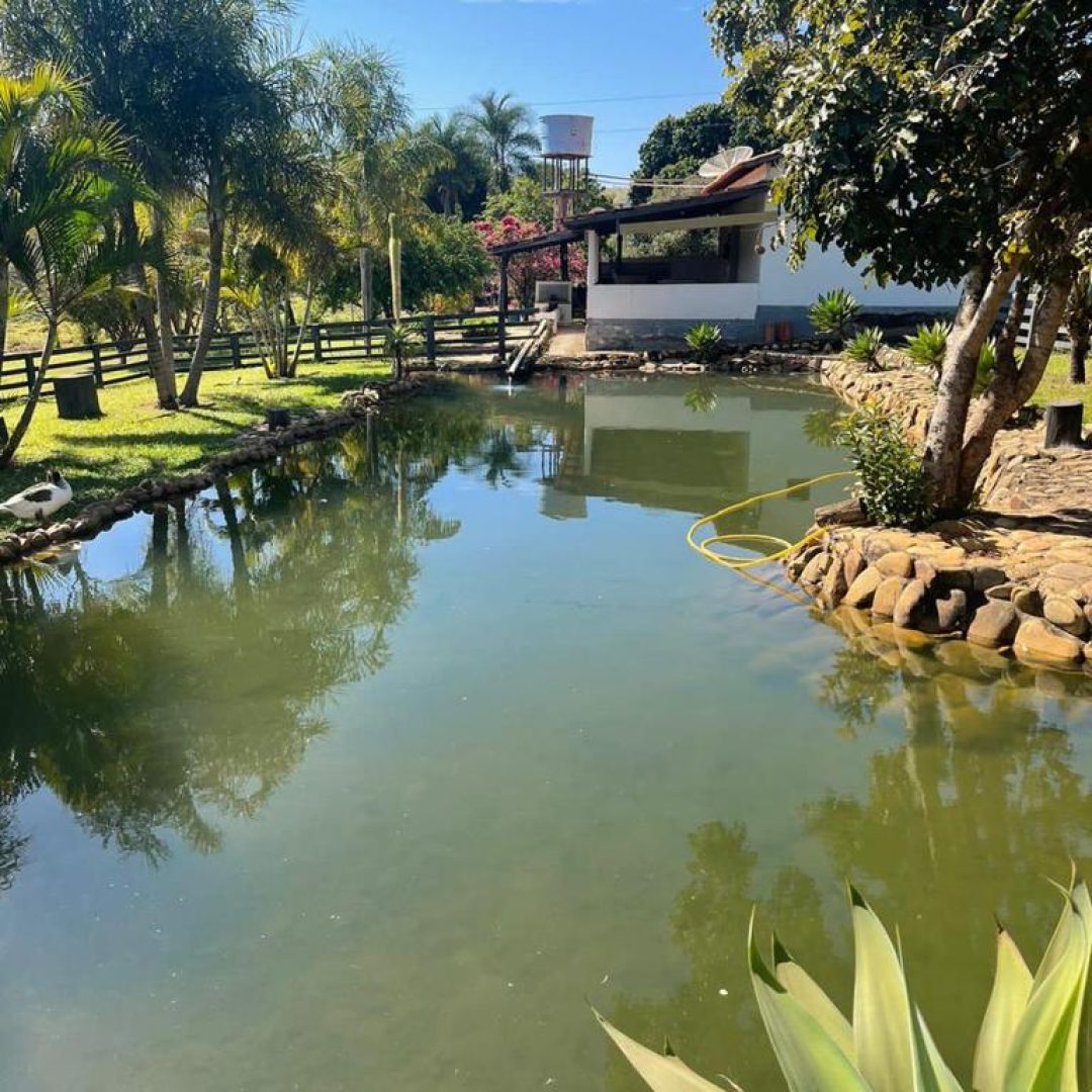 fazenda próximo a brasília df (8)